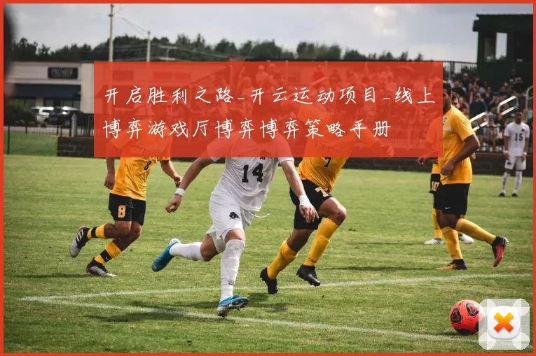 开启胜利之路_开云运动项目_线上博弈游戏厅博弈博弈策略手册