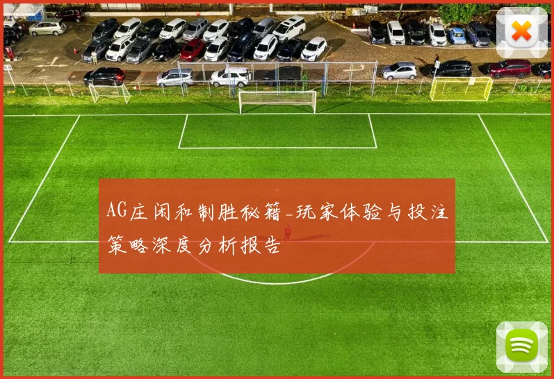 AG庄闲和制胜秘籍_玩家体验与投注策略深度分析报告