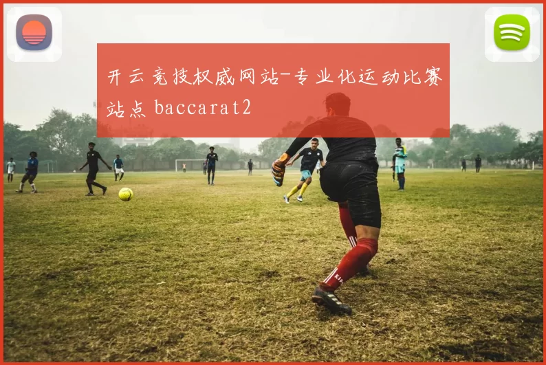 开云竞技权威网站-专业化运动比赛站点 baccarat2